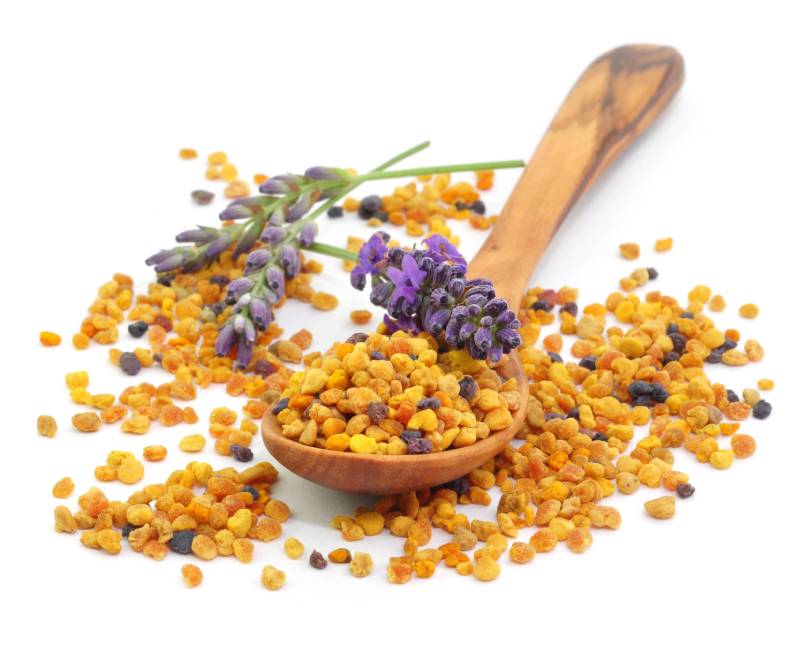 shutterstock_1639943644 (1)